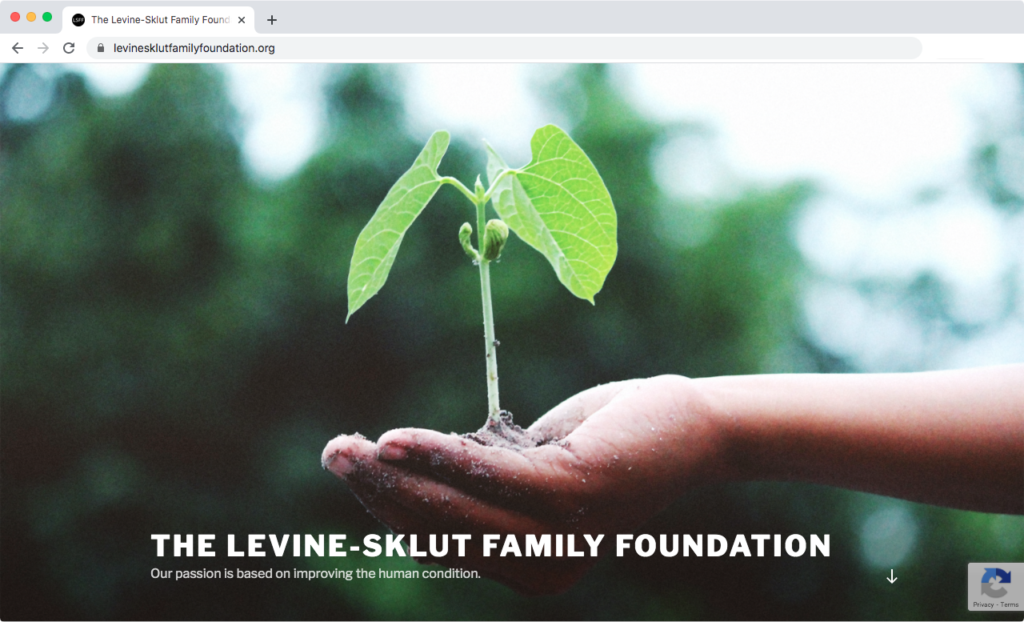 Levine Sklut Family Foundation